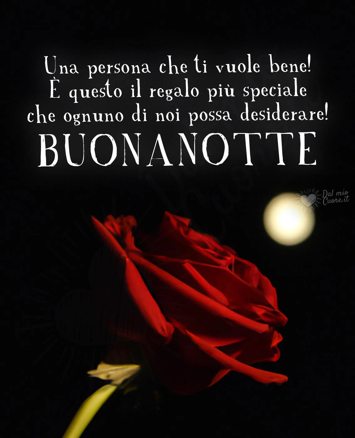 Buonanotte con frase: Una persona che ti vuole bene! È questo il regalo più speciale che ognuno di noi possa desiderare!