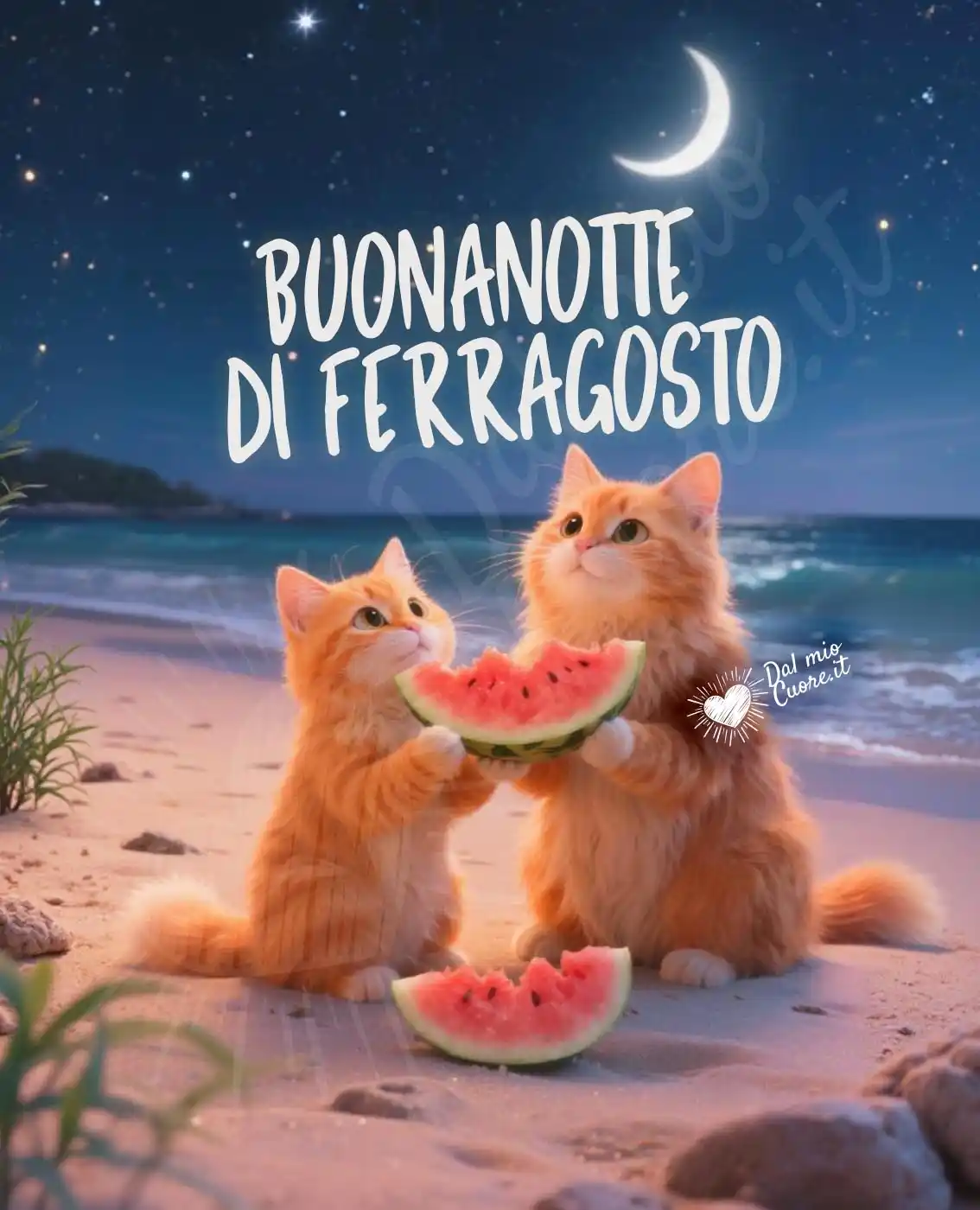 Buonanotte di Ferragosto