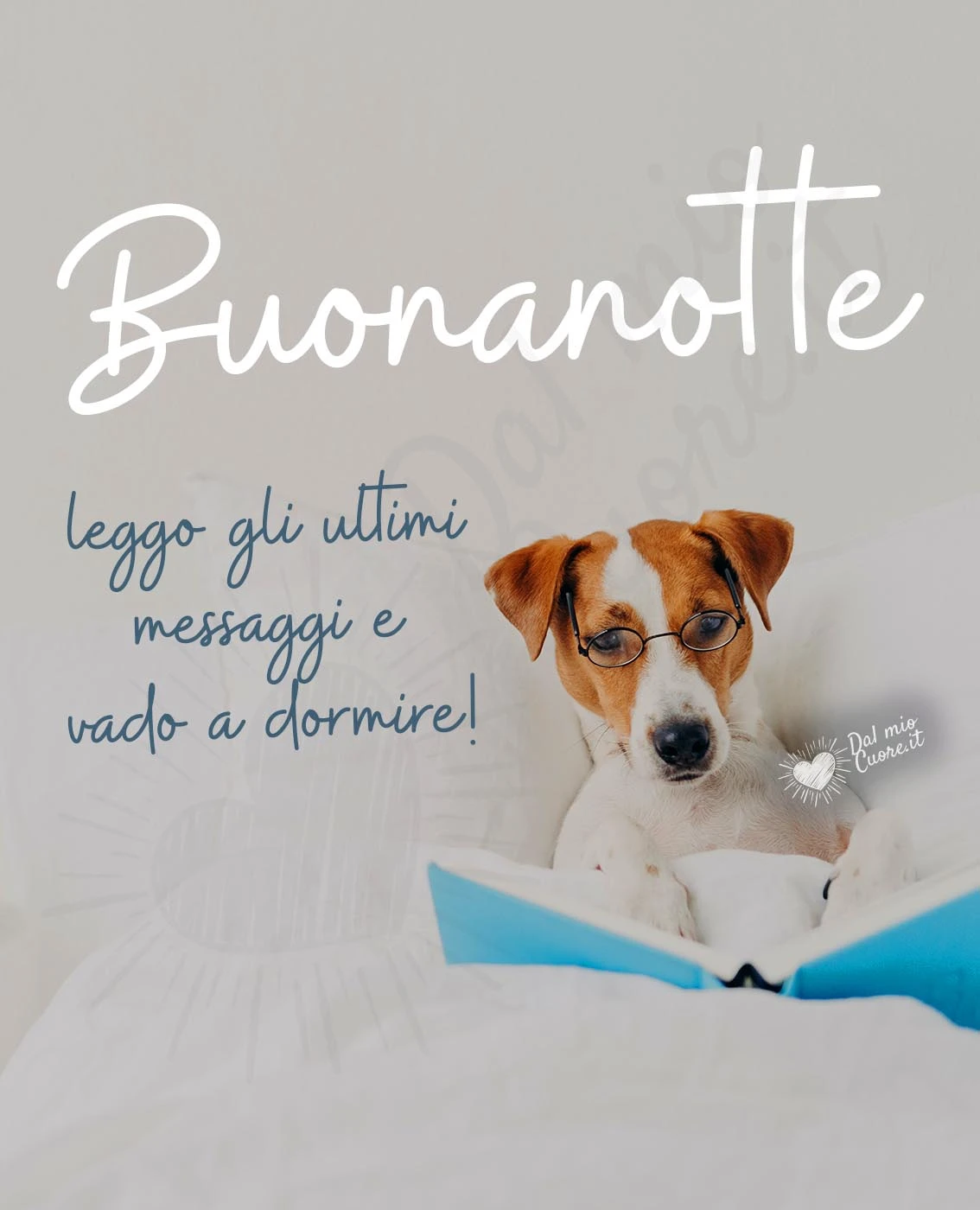 Leggo gli ultimi messaggi e vado a dormire! Buonanotte divertente con cagnolino