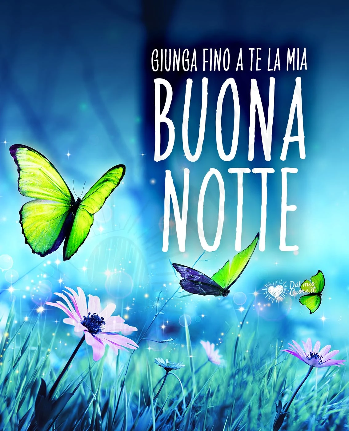 Giunga fino a te la mia buona notte