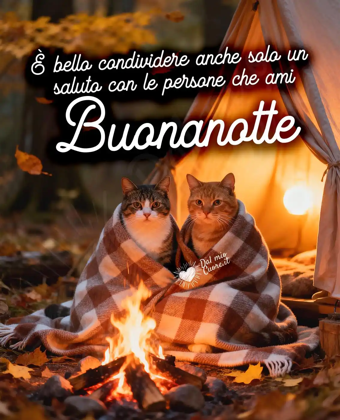 Buonanotte immagini. È bello condividere anche solo un saluto con le persone che ami