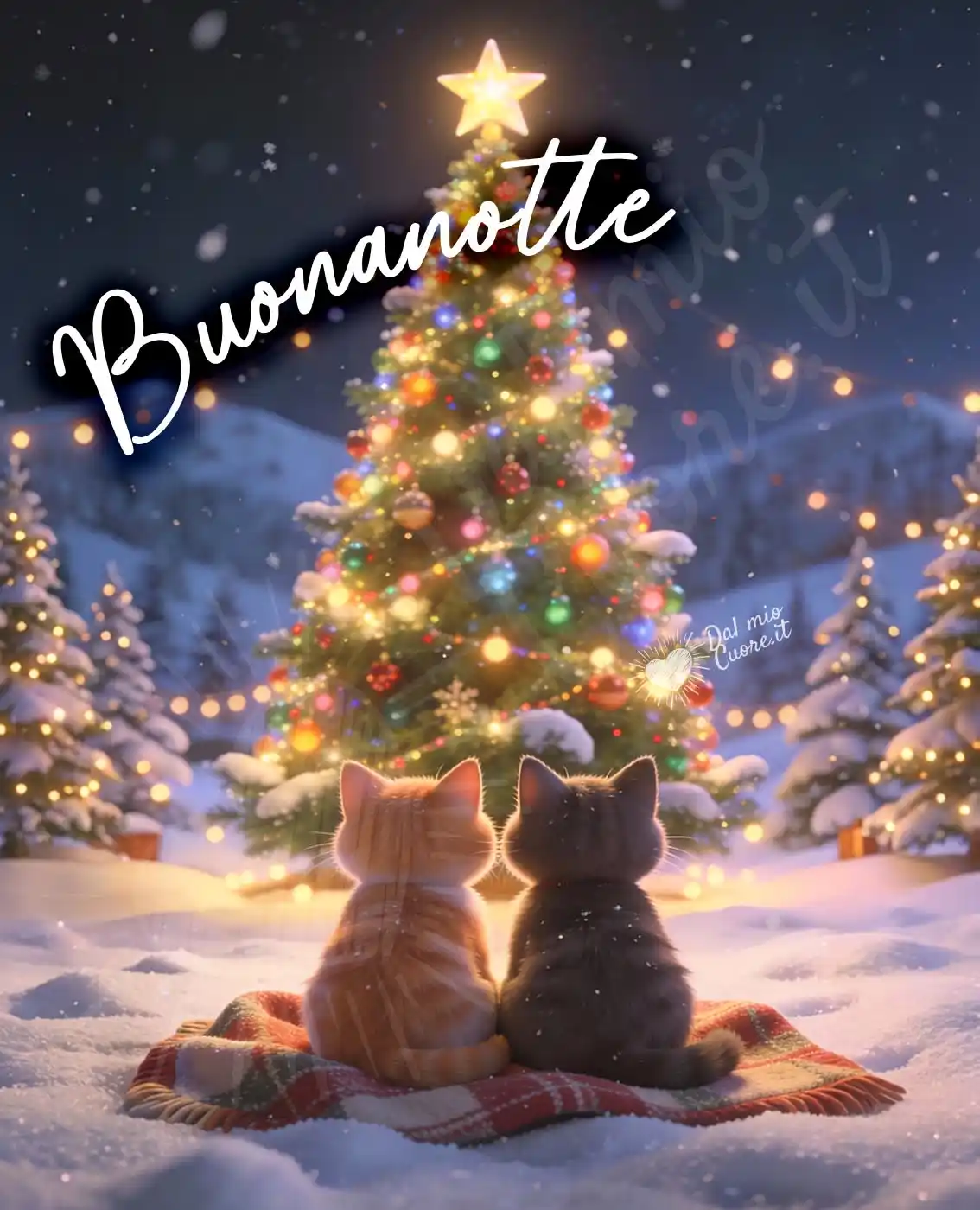 Buonanotte natalizia con gattini Buonanotte natalizia con gattini