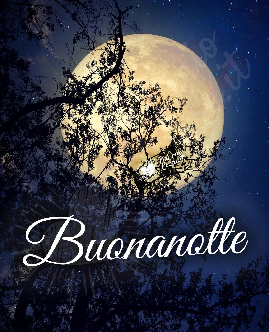 Buonanotte con luna piena