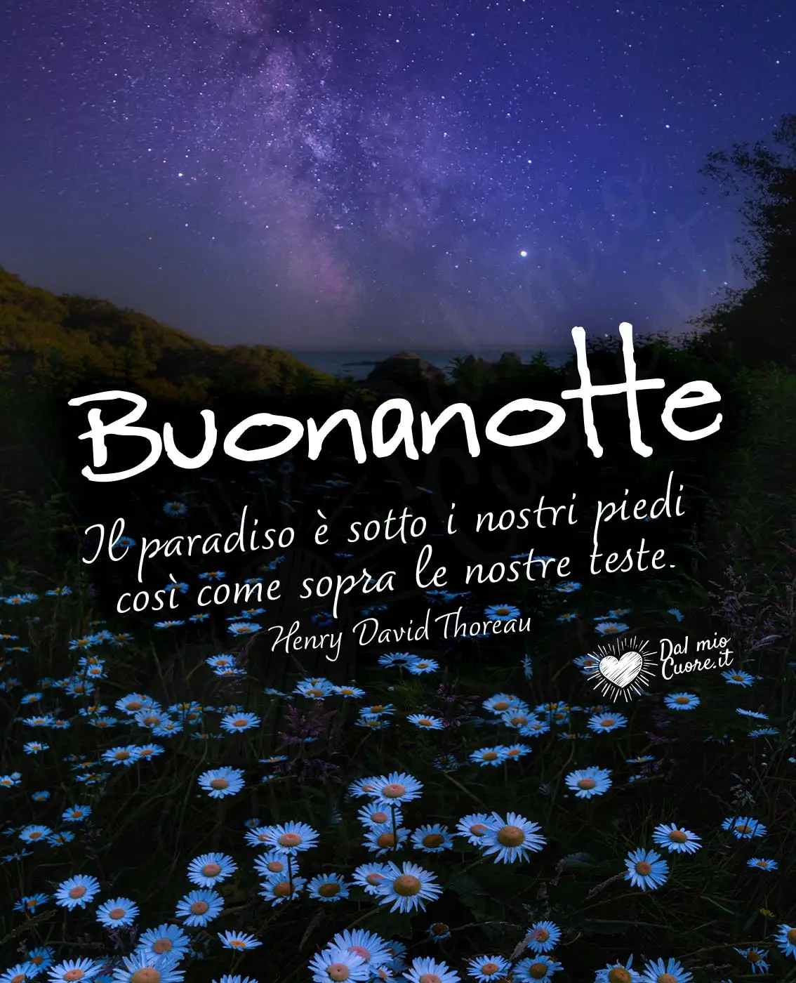 Buonanotte. Il paradiso è sotto i nostri piedi così come sopra le nostre teste.
