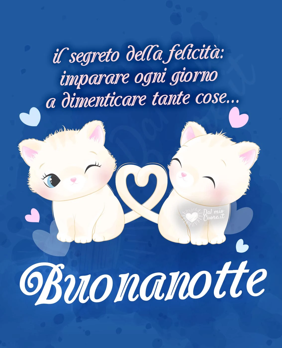 Il segreto della felicità: imparare ogni giorno a dimenticare tante cose... Buonanotte (frasi)