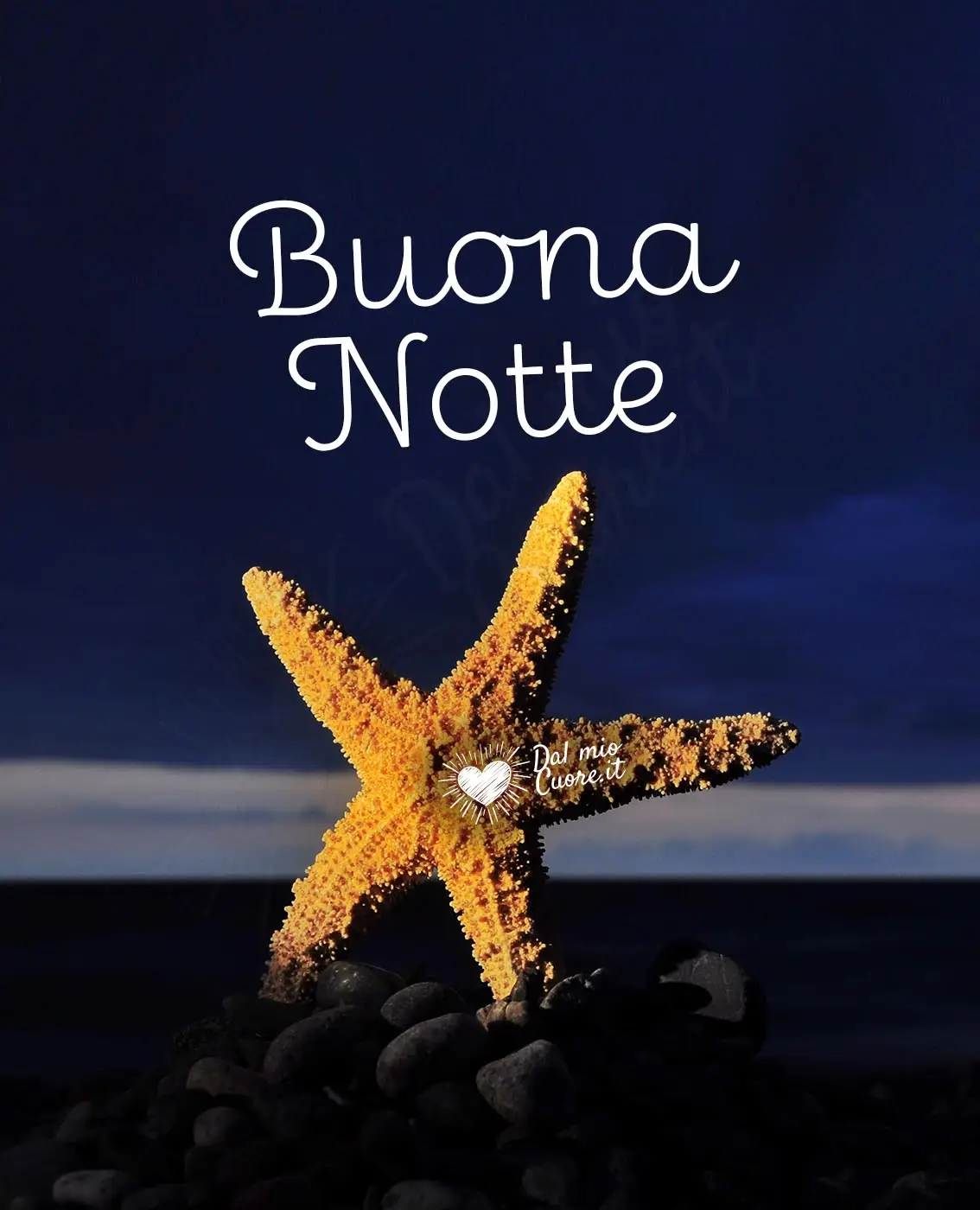 Buona notte con stella marina
