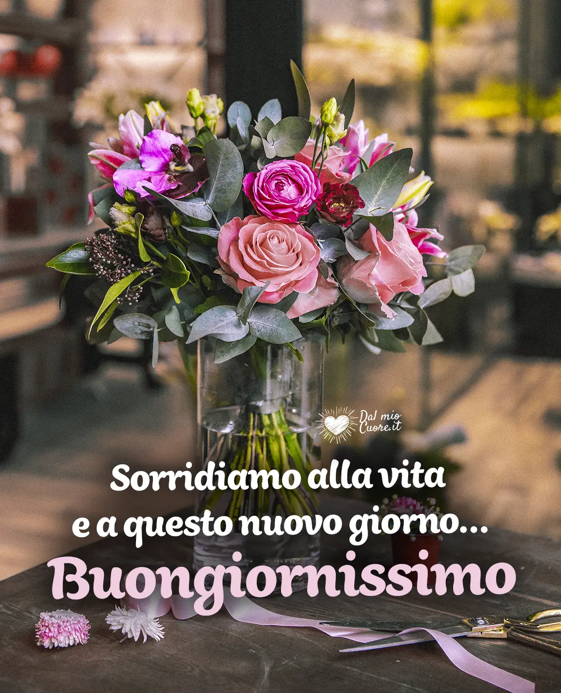 Sorridiamo alla vita e a questo nuovo giorno... Buongiornissimo Sorridiamo alla vita e a questo nuovo giorno... Buongiornissimo