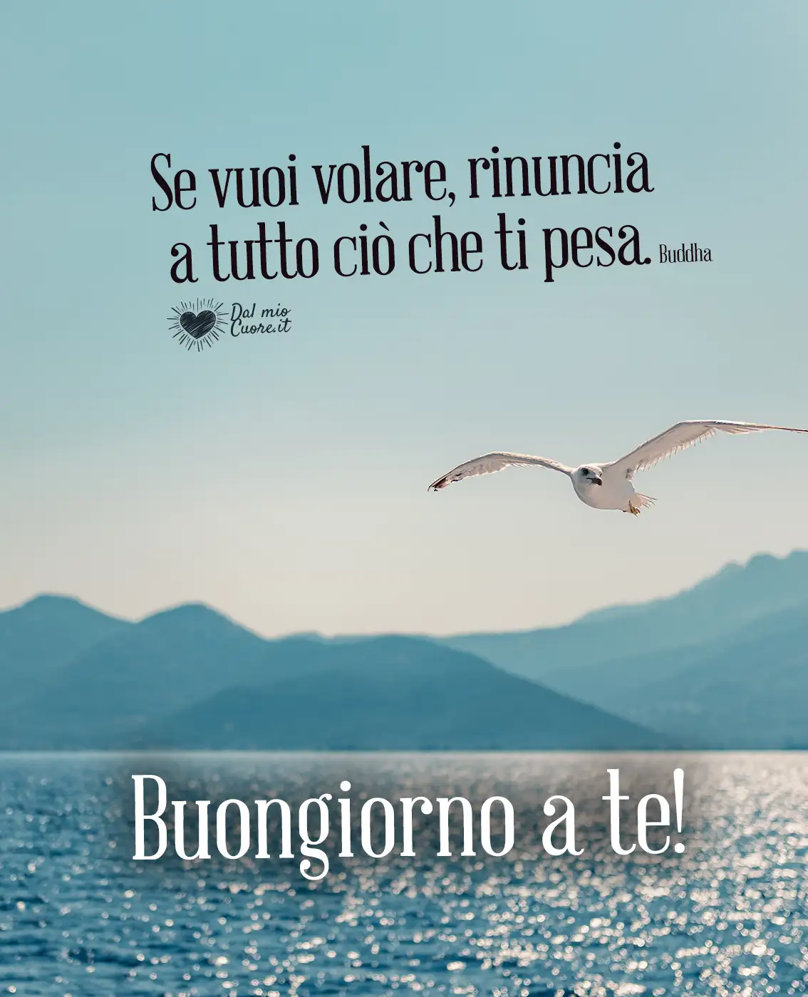 Se vuoi volare, rinuncia a tutto ciò che ti pesa. Buongiorno a te!