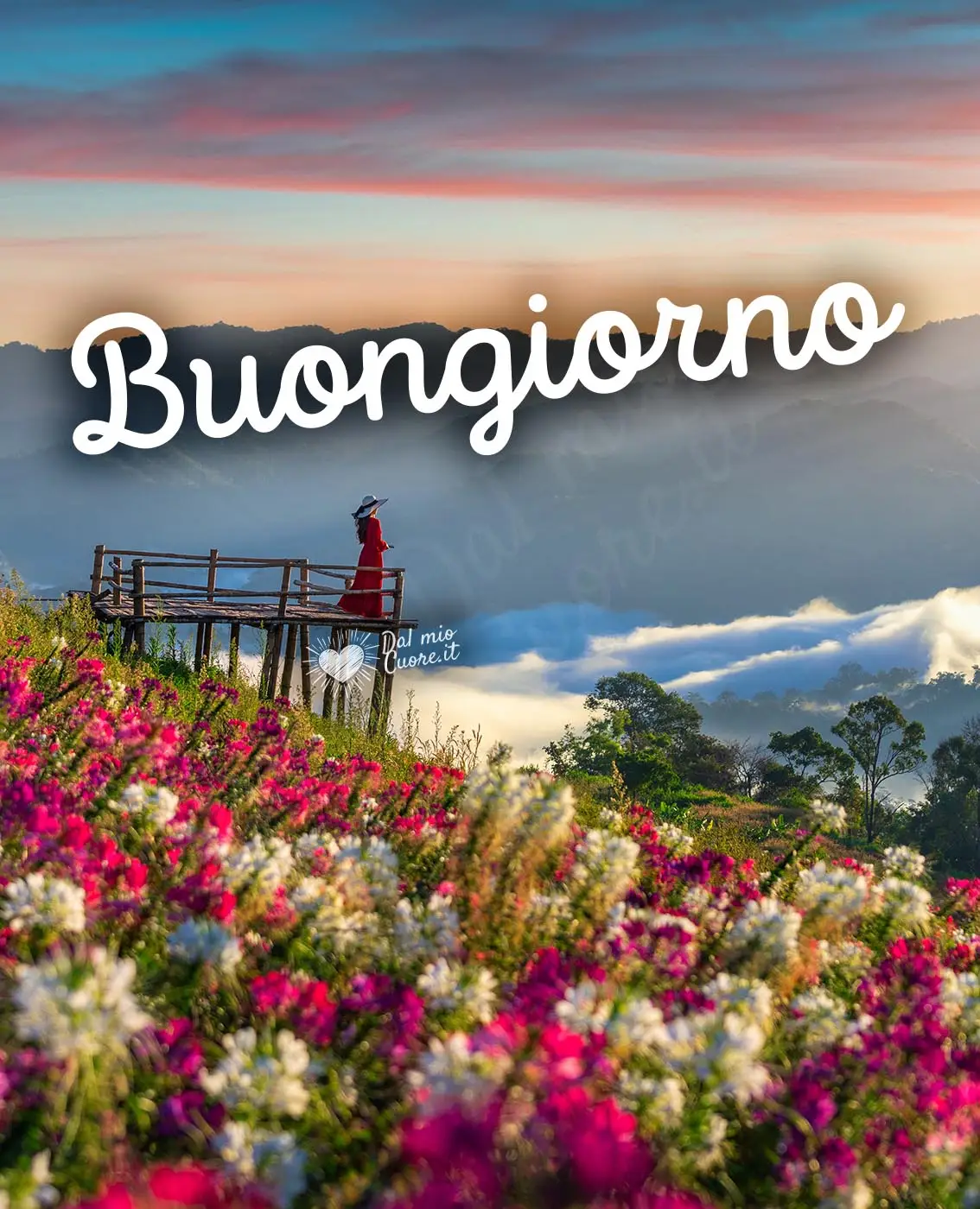 Buongiorno con alba in Provenza