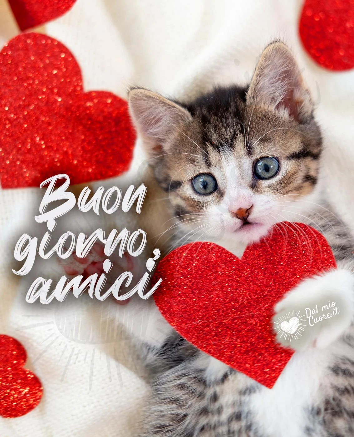 Immagine buongiorno con gattino e cuoricini