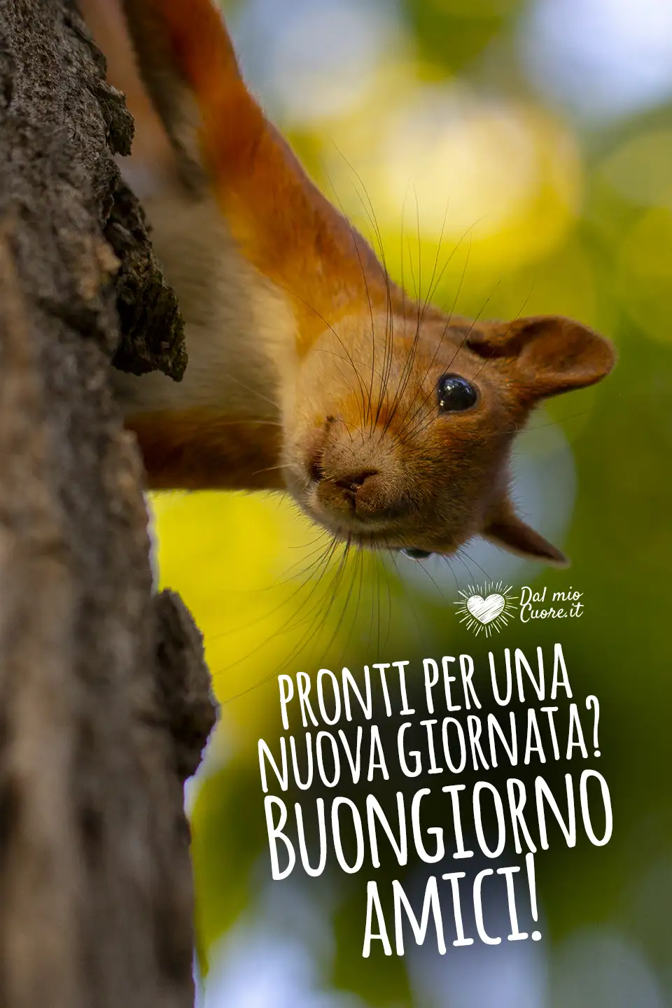 Pronti per una nuova giornata? Buongiorno amici! Pronti per una nuova giornata? Buongiorno amici!