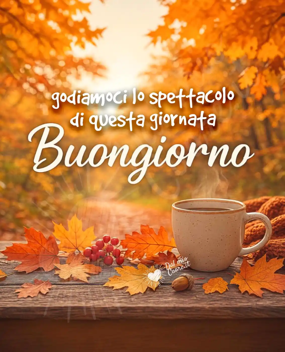 Godiamoci lo spettacolo di questa giornata. Buongiorno autunnale