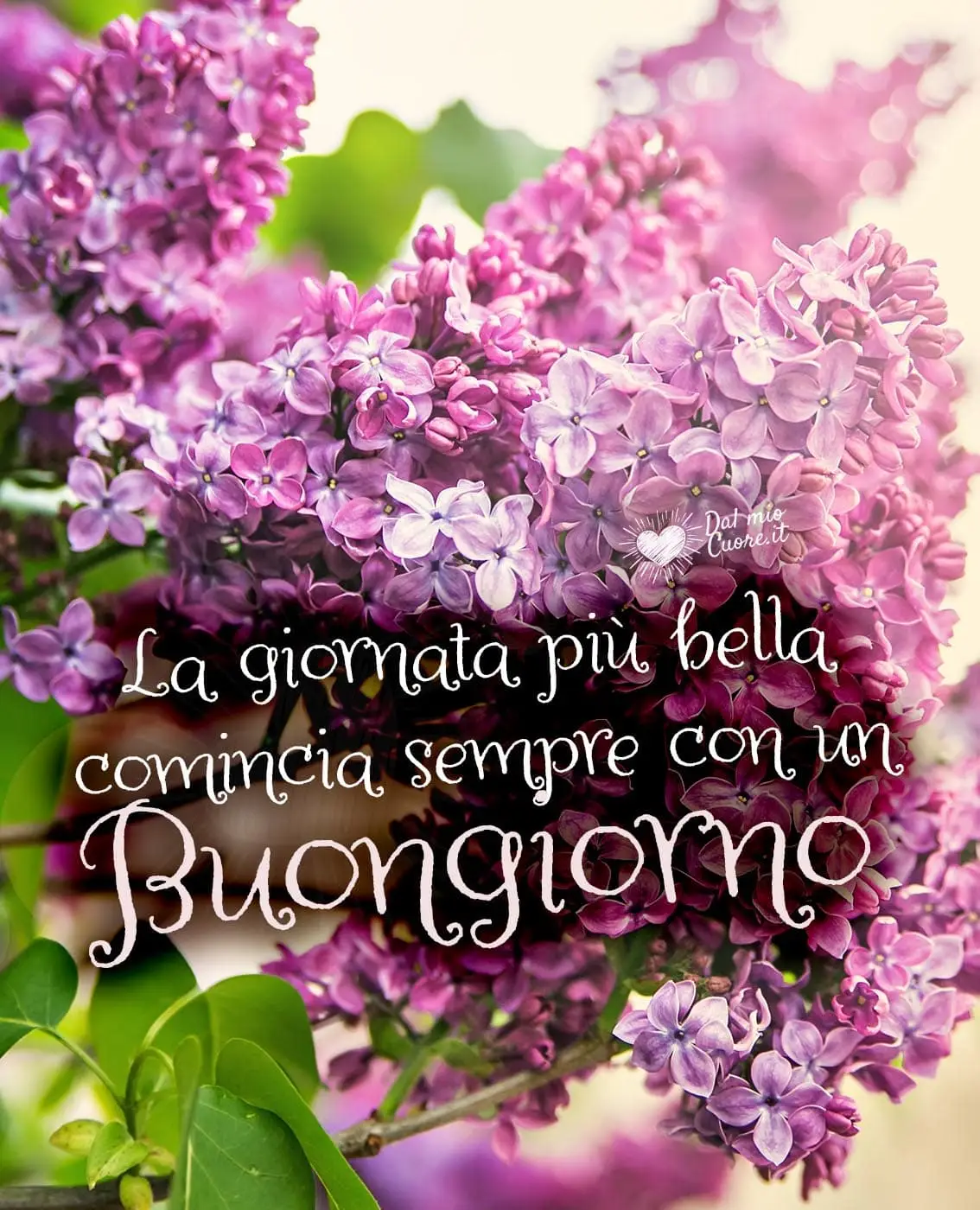La giornata più bella comincia sempre con un buongiorno La giornata più bella comincia sempre con un buongiorno