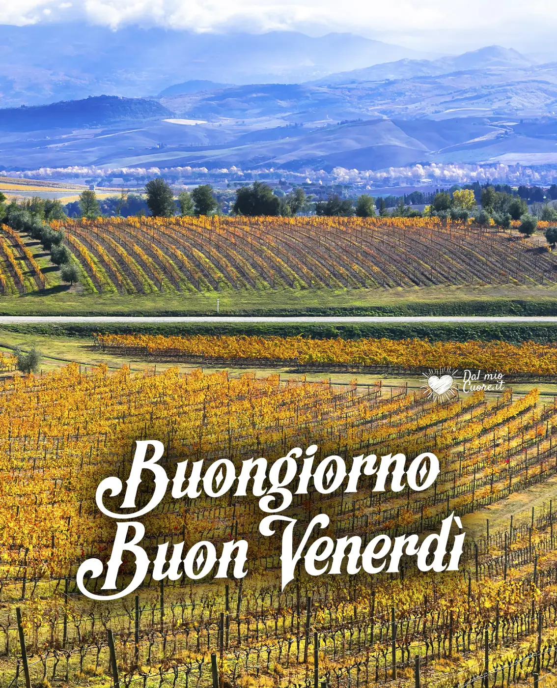 Buongiorno Buon Venerdì Buongiorno Buon Venerdì