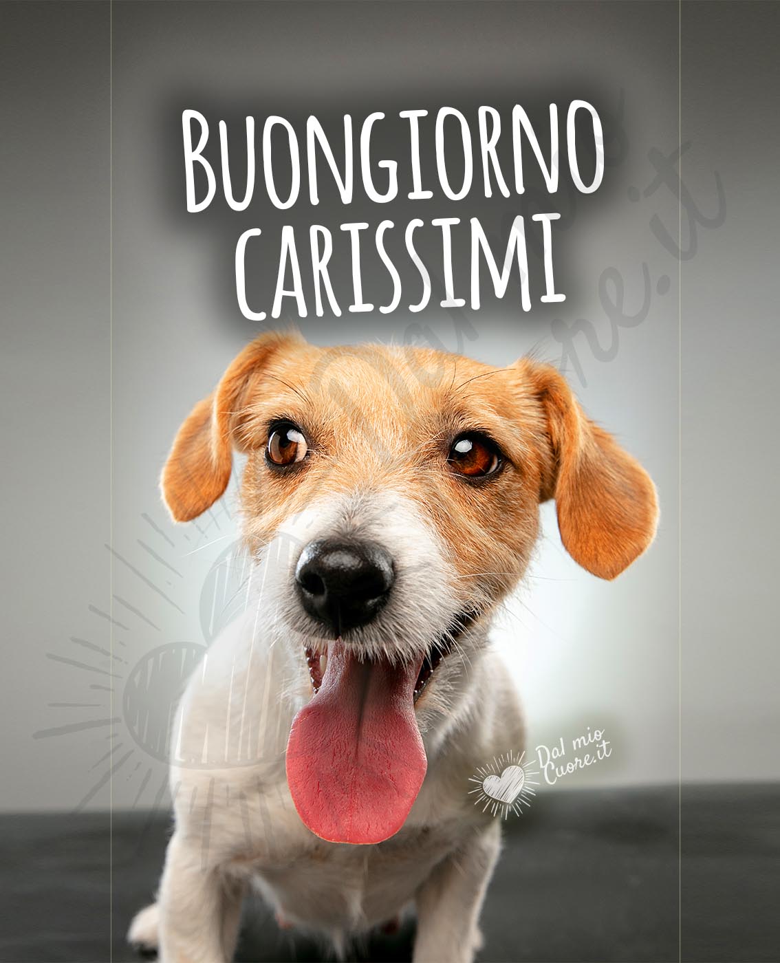 Buongiorno Carissimi Buongiorno Carissimi