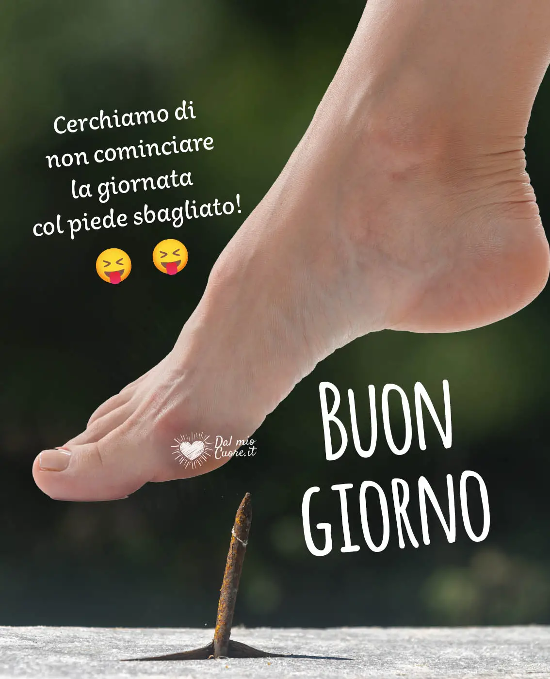Cerchiamo di non cominciare la giornata col piede sbagliato! Buon giorno Cerchiamo di non cominciare la giornata col piede sbagliato! Buon giorno