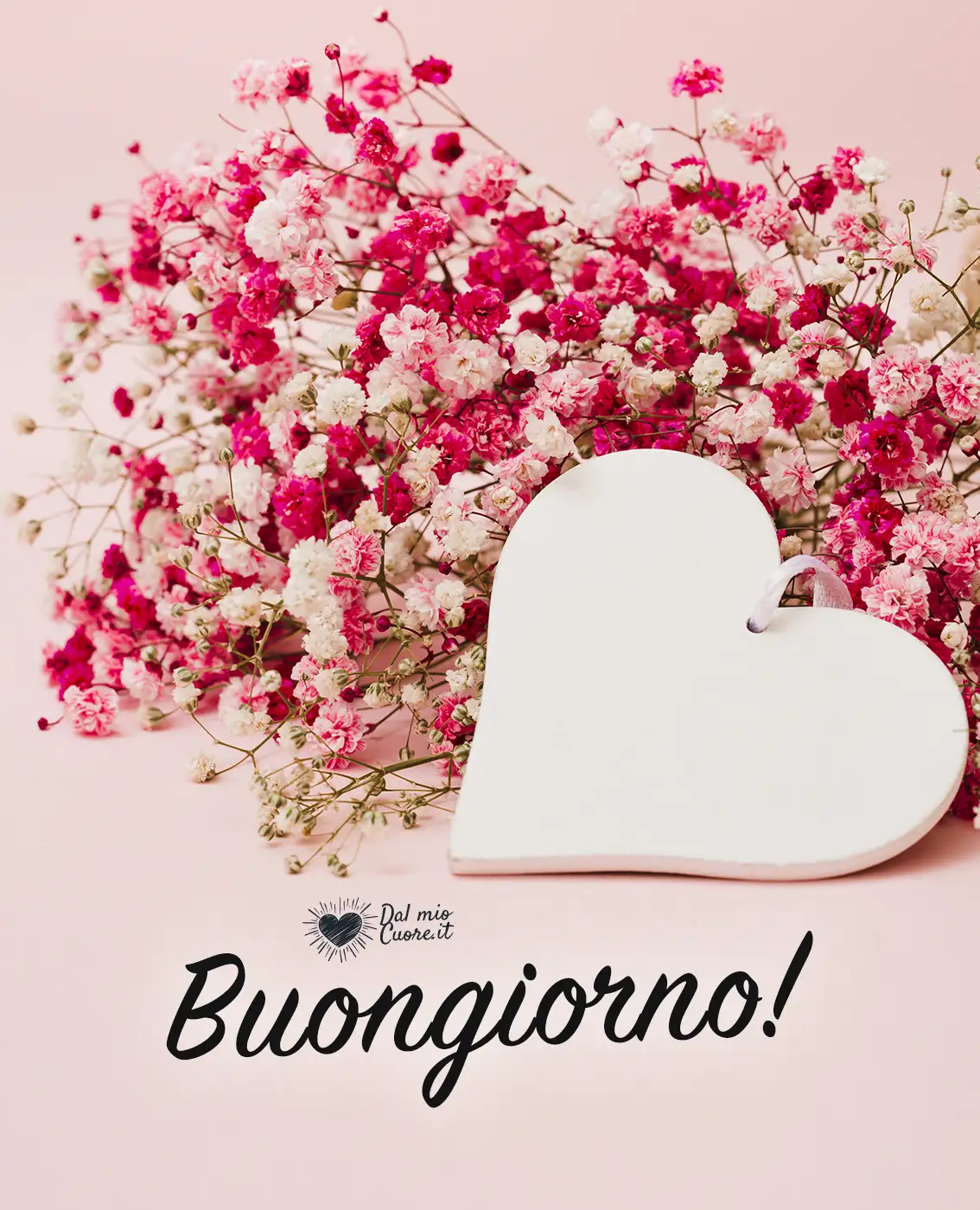 Buongiorno! Buongiorno!