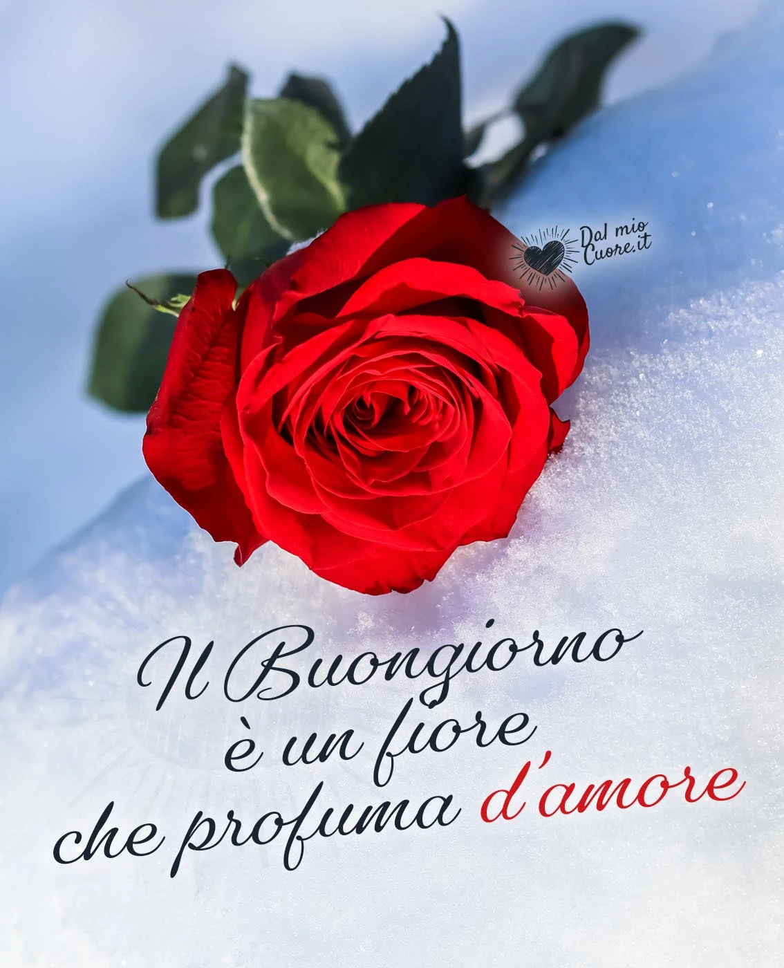 Il buongiorno è un fiore che profuma d'amore