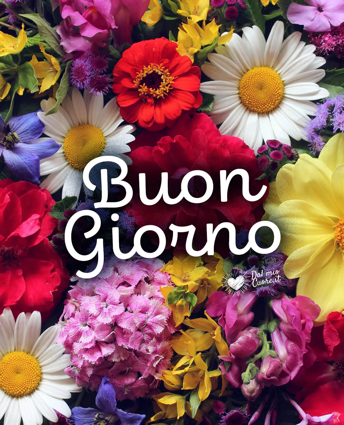 Buongiorno con fiori