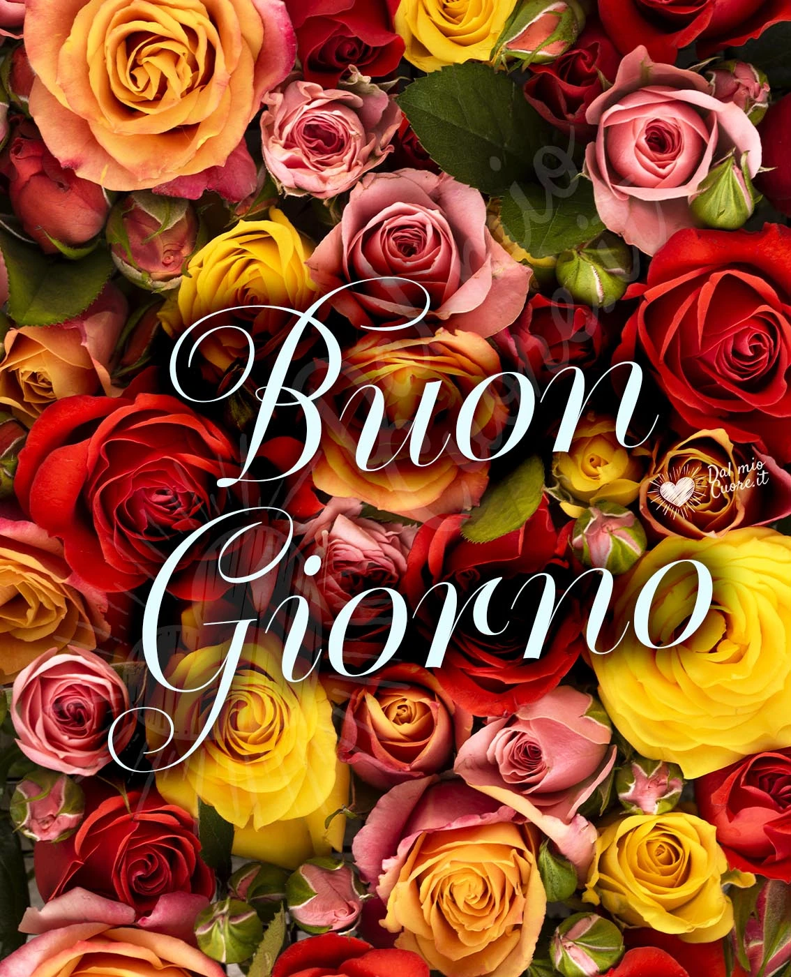 Buon giorno con fiori