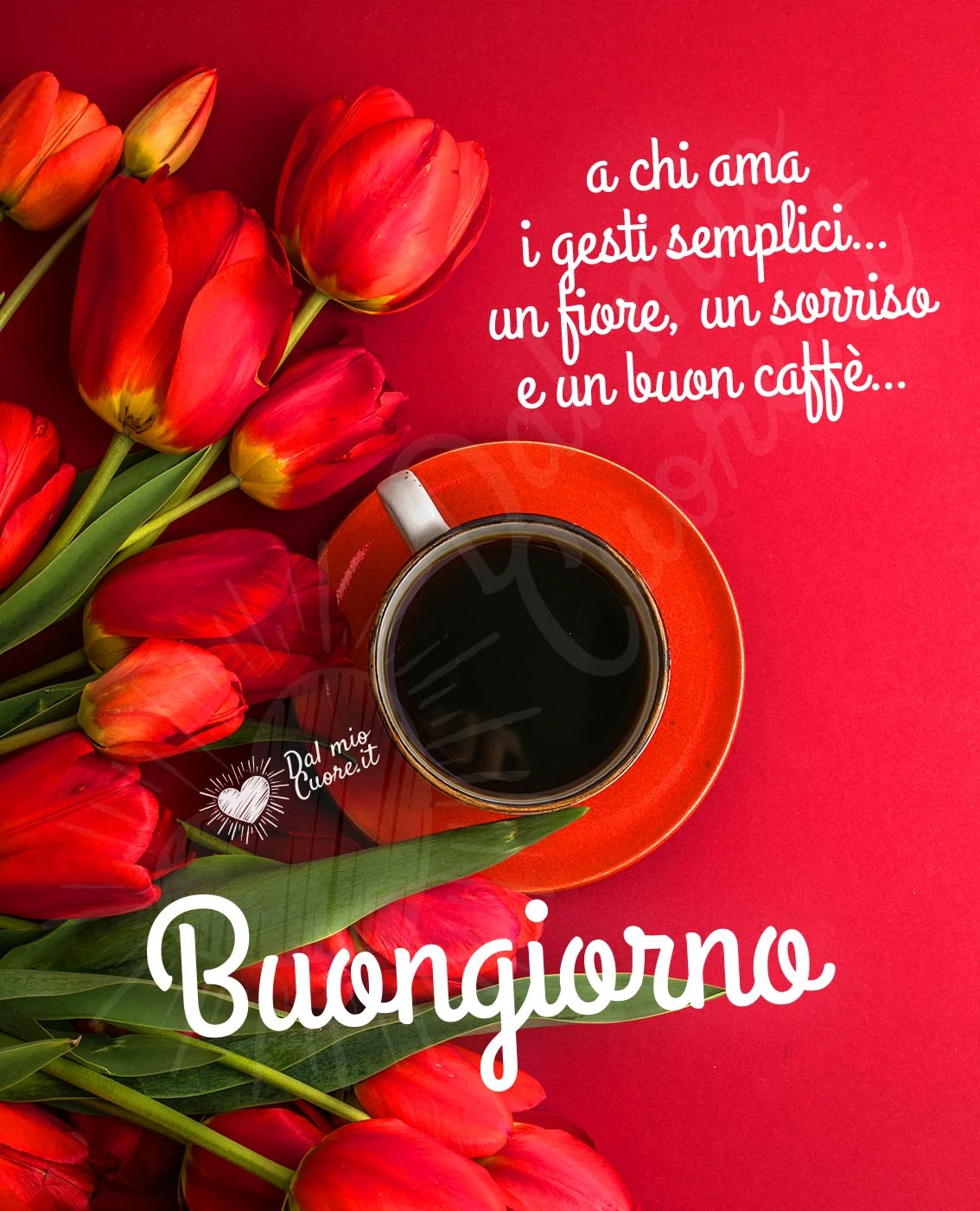 Buongiorno a chi ama i gesti semplici... un fiore, un sorriso e un buon caffè...