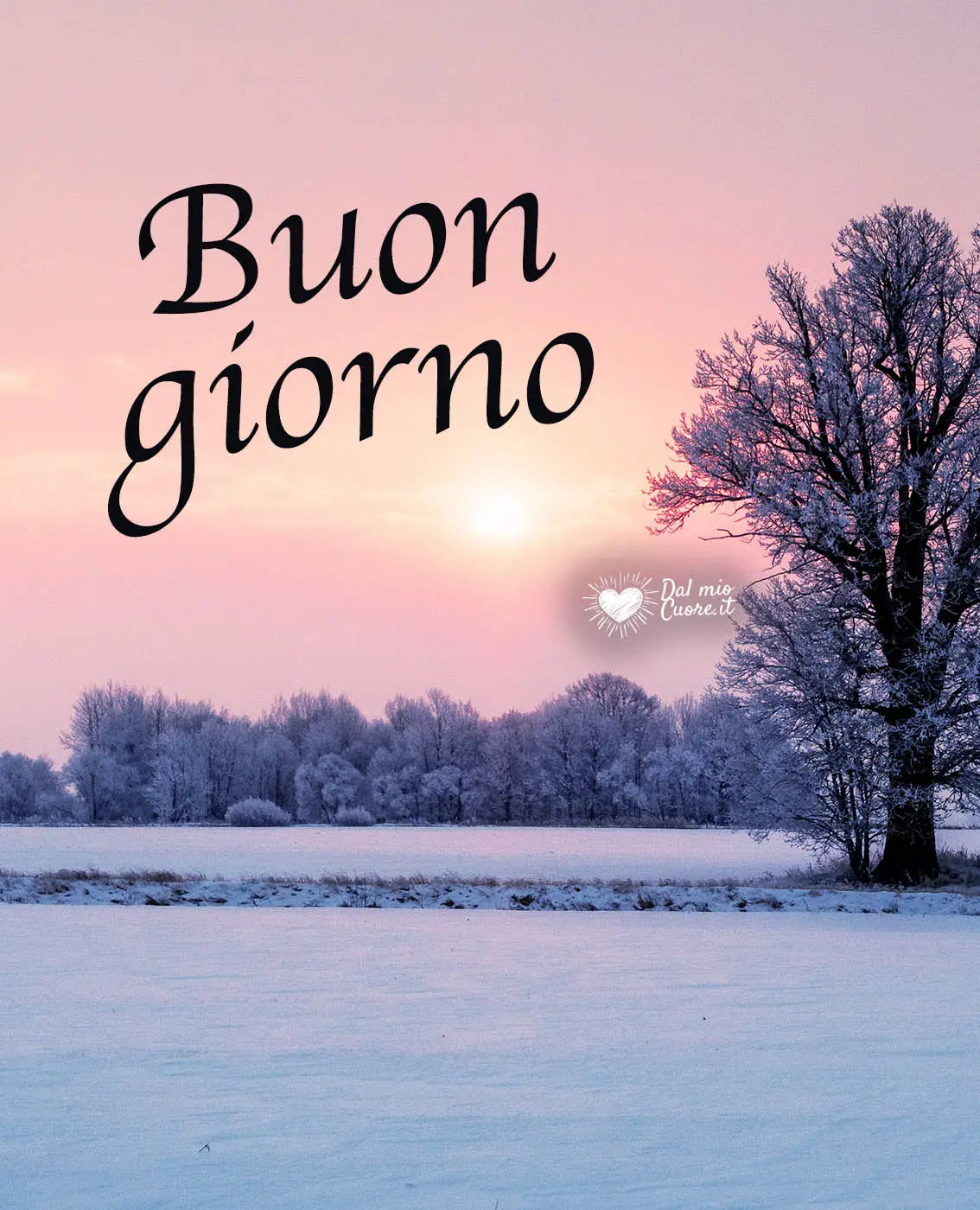Buongiorno invernale