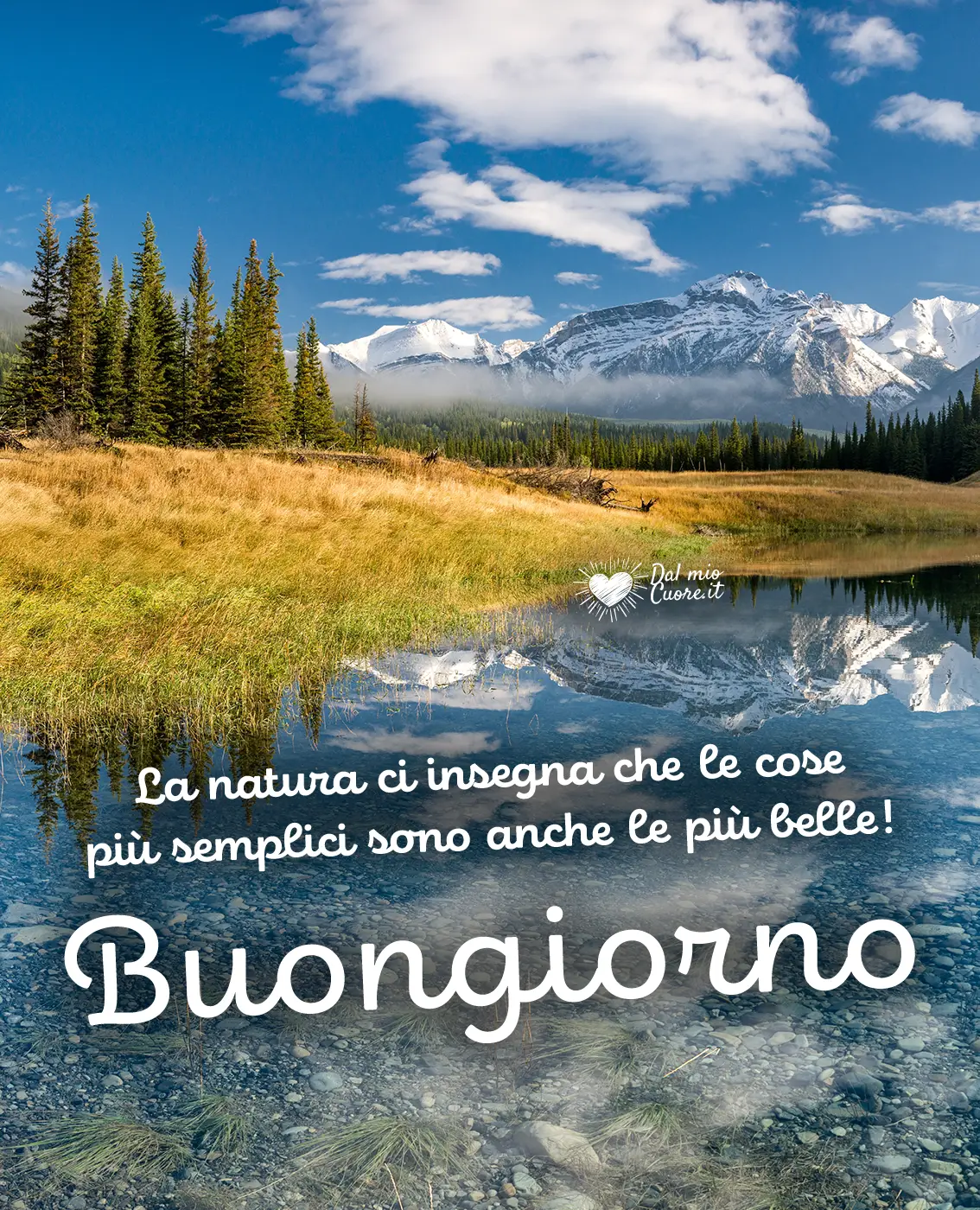 La natura ci insegna che le cose più semplici sono anche le più belle. Buongiorno La natura ci insegna che le cose più semplici sono anche le più belle. Buongiorno
