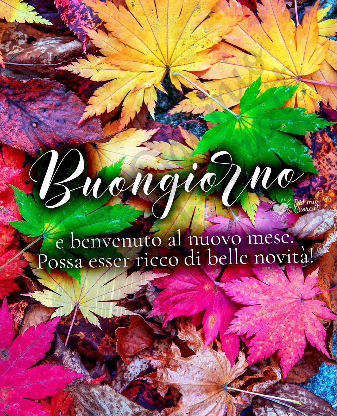Buongiorno e benvenuto al nuovo mese. Possa esser ricco di belle novità!