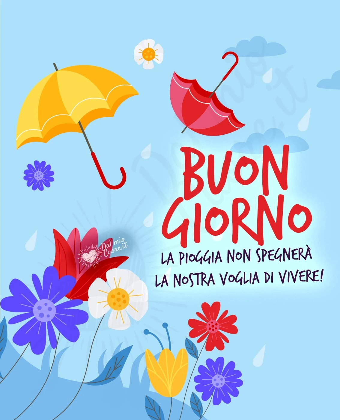 Buongiorno. La pioggia non spegnerà la nostra voglia di vivere!