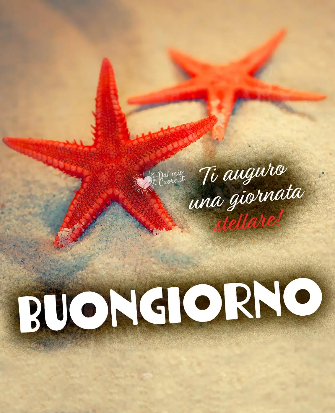 Ti auguro una giornata stellare! Buongiorno Ti auguro una giornata stellare! Buongiorno