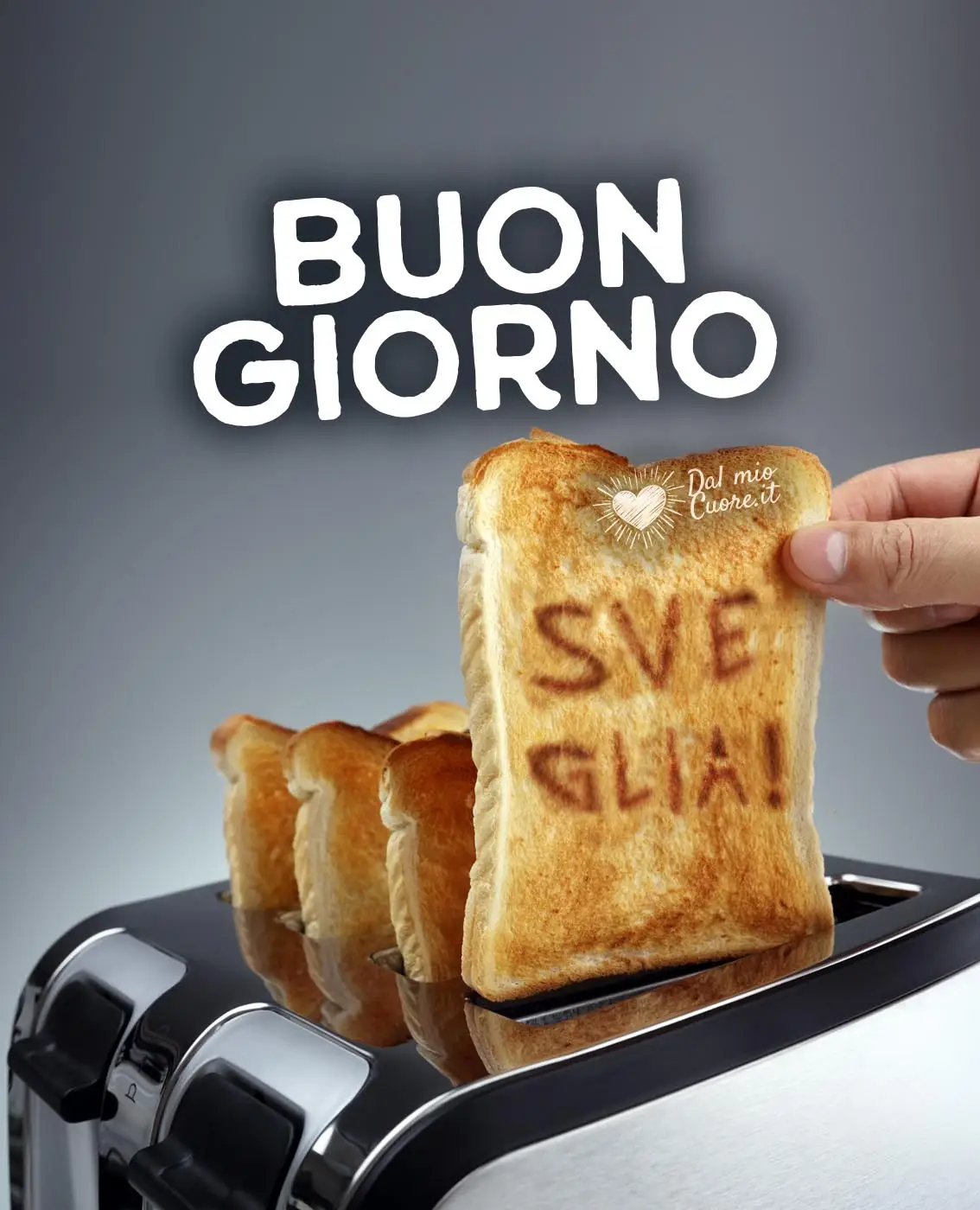 Sveglia! Buon giorno divertente Sveglia! Buon giorno divertente