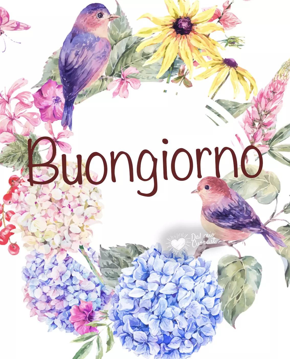 Imm Buongiorno con fiori Imm Buongiorno con fiori