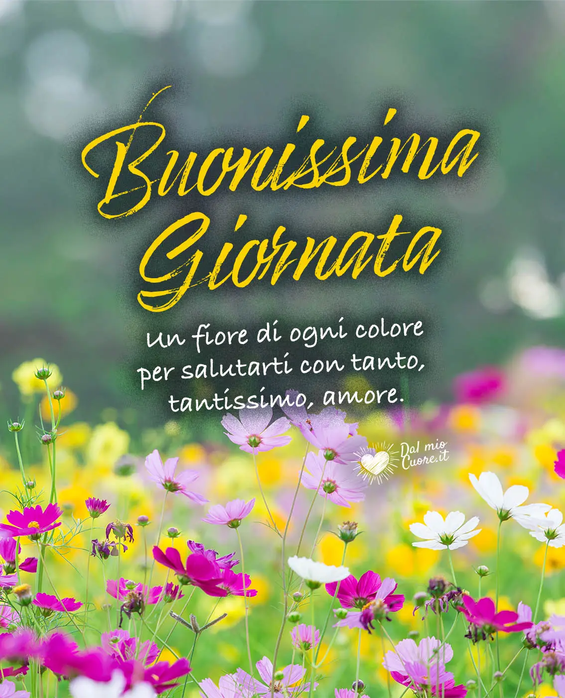 Un fiore di ogni colore per salutarti con tanto, tantissimo, amore. Buonissima Giornata Un fiore di ogni colore per salutarti con tanto, tantissimo, amore. Buonissima Giornata