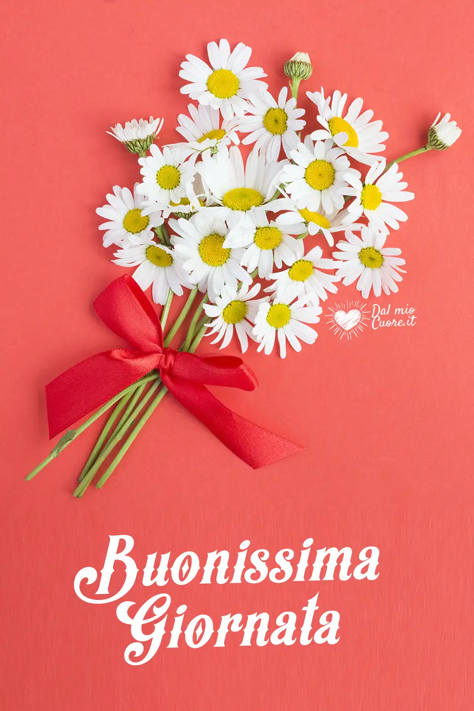 Buonissima Giornata Buonissima Giornata