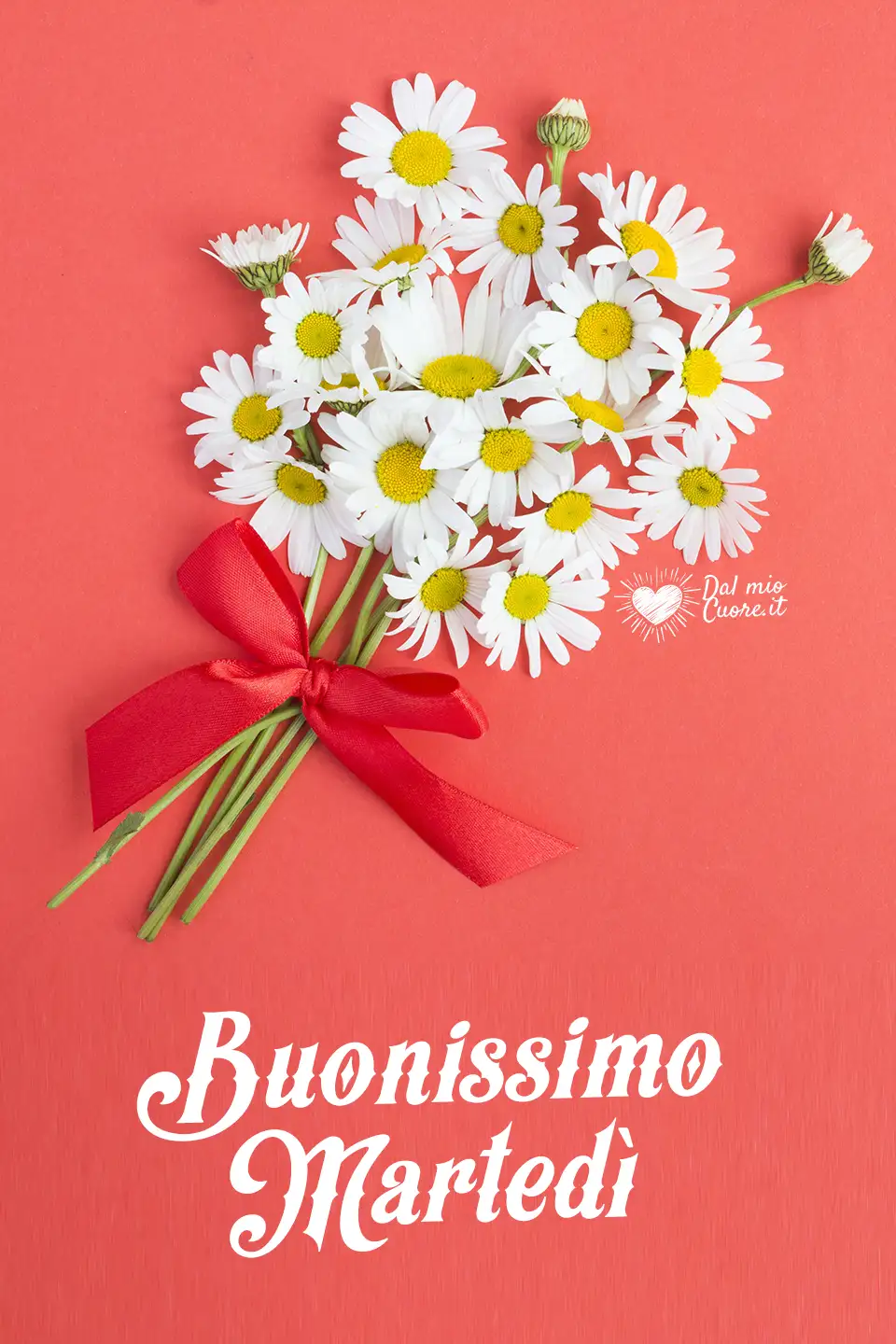 Buonissimo Martedì Buonissimo Martedì