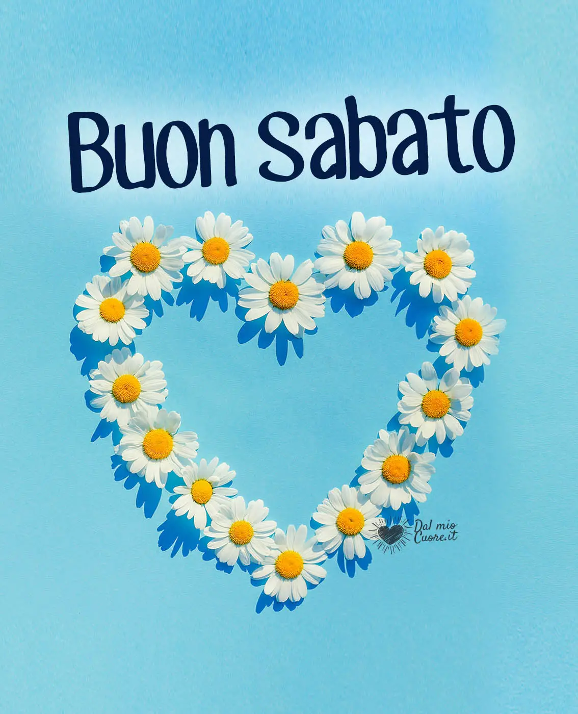 Buon sabato con un cuore di fiori di camomilla Buon sabato con un cuore di fiori di camomilla