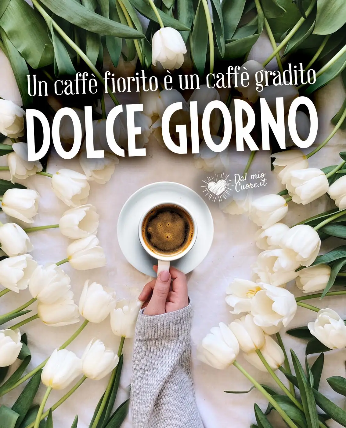 Un caffè fiorito è un caffè gradito. Dolce Giorno Un caffè fiorito è un caffè gradito. Dolce Giorno