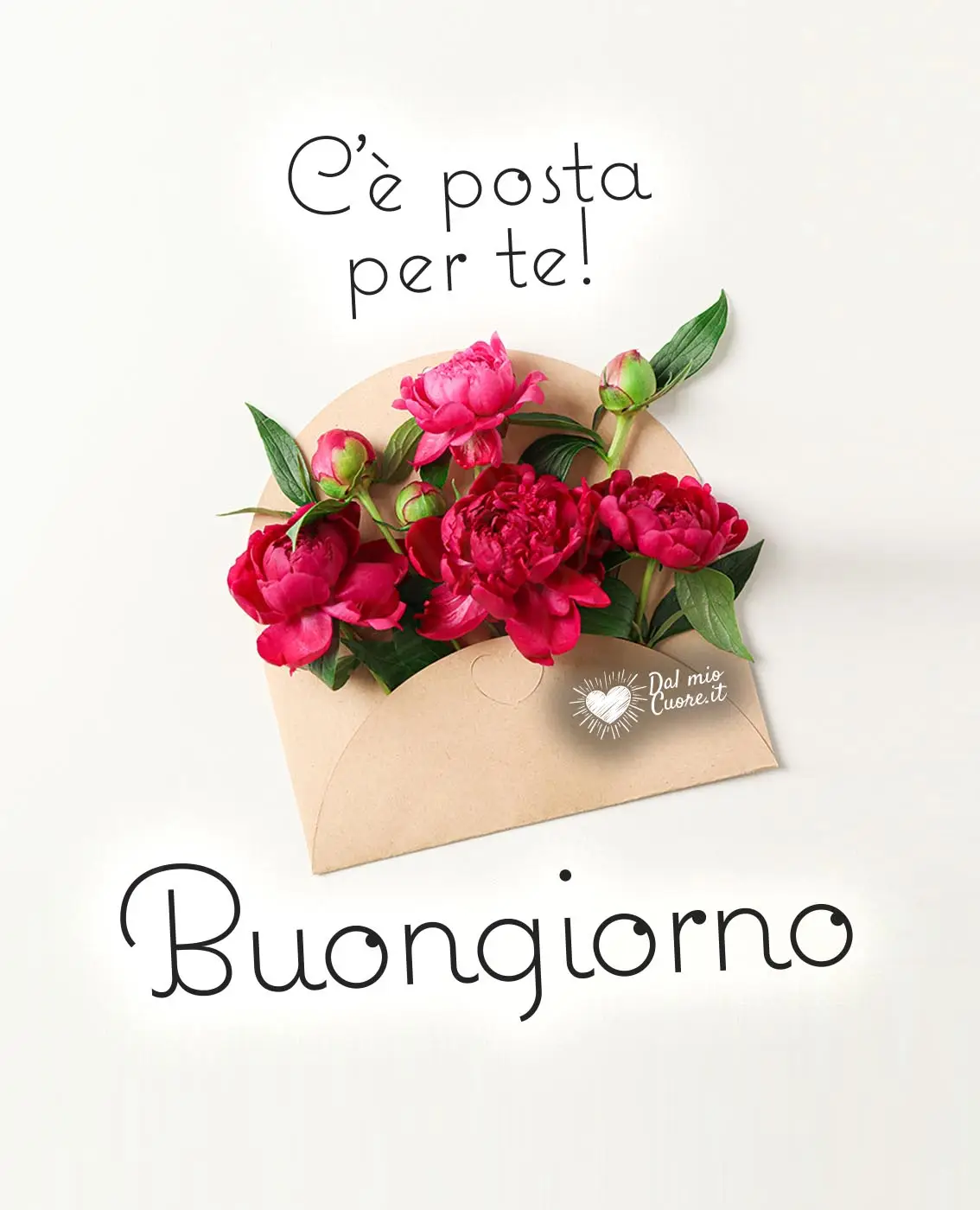 C'è posta per te! Buongiorno con fiori C'è posta per te! Buongiorno con fiori