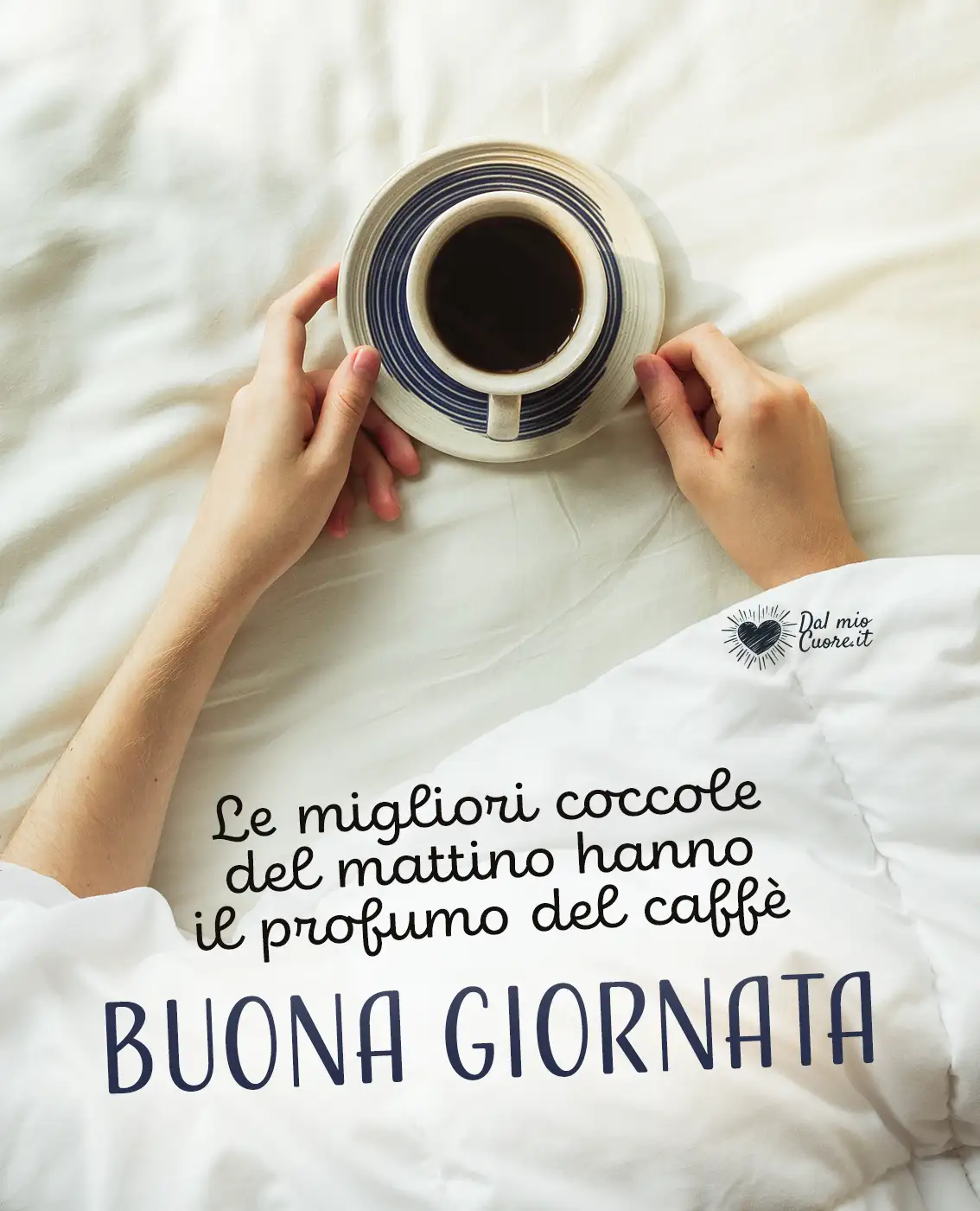 Le migliori coccole del mattino hanno il profumo del caffè. Buona giornata Le migliori coccole del mattino hanno il profumo del caffè. Buona giornata