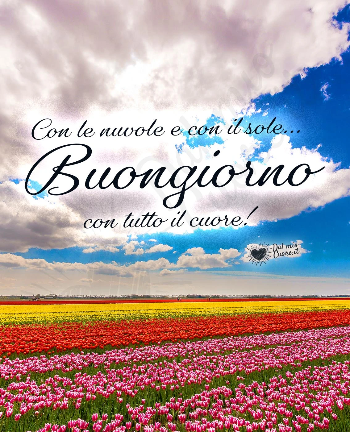 Con le nuvole e con il sole... Buongiorno con tutto il cuore!