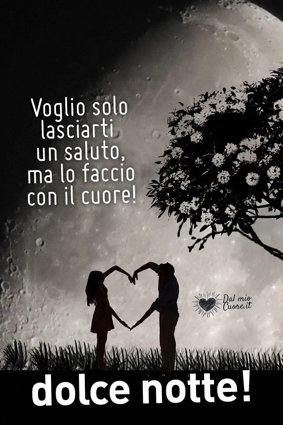 Voglio solo lasciarti un saluto, ma lo faccio con il cuore! Dolce notte Voglio solo lasciarti un saluto, ma lo faccio con il cuore! Dolce notte