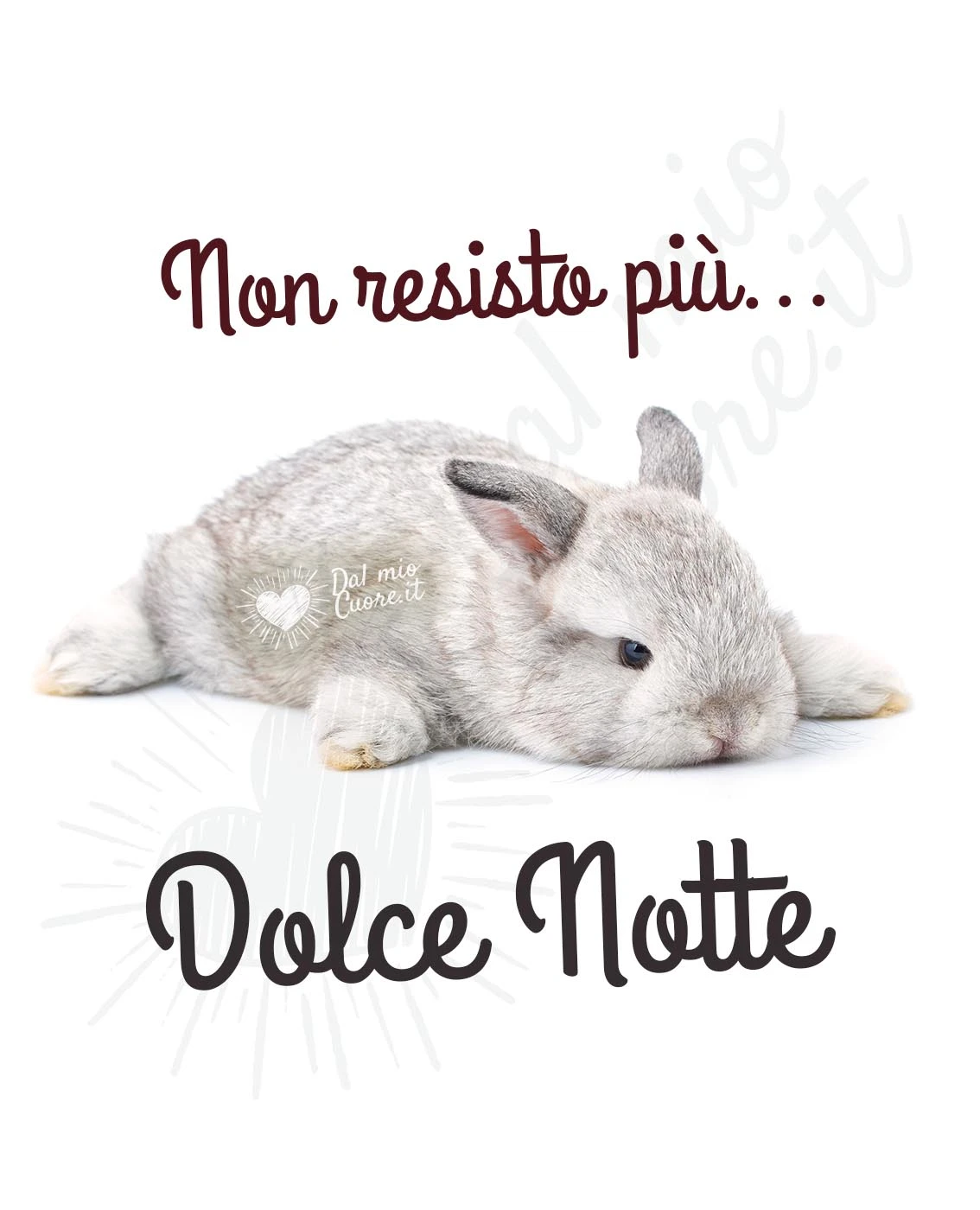 Non resisto più... dolce notte divertentissima!