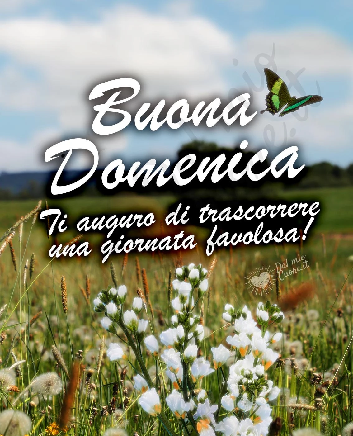 Buona Domenica. Ti auguro di trascorrere una giornata favolosa! Buona Domenica. Ti auguro di trascorrere una giornata favolosa!