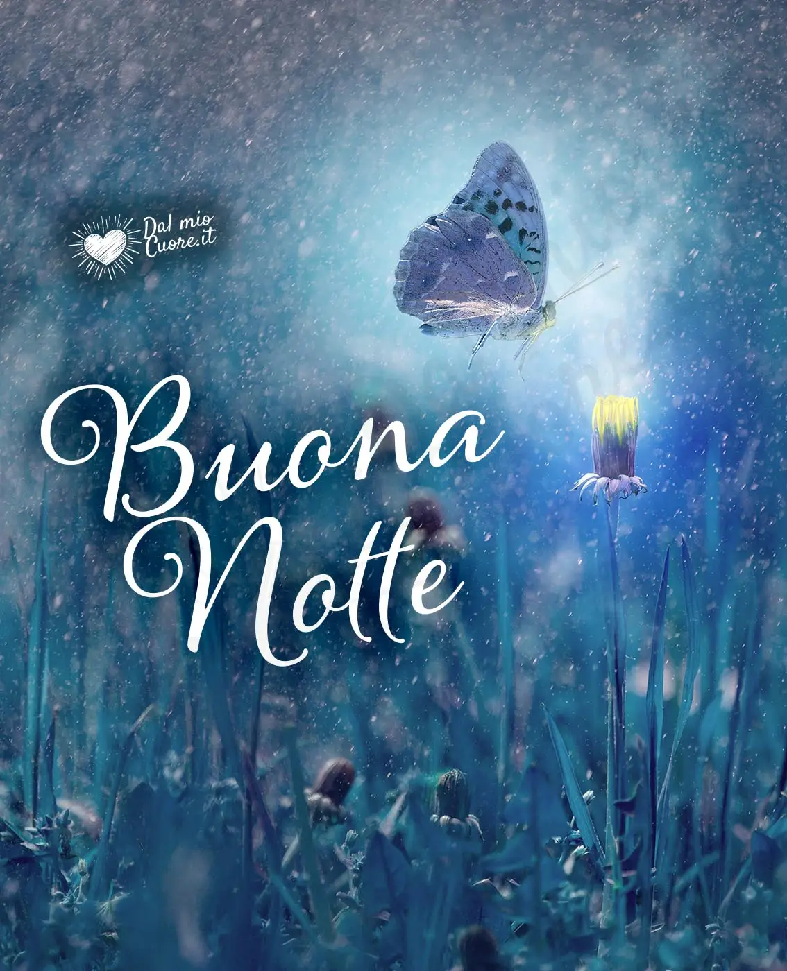 Buonanotte immagini con falena attratta da un fiore magico