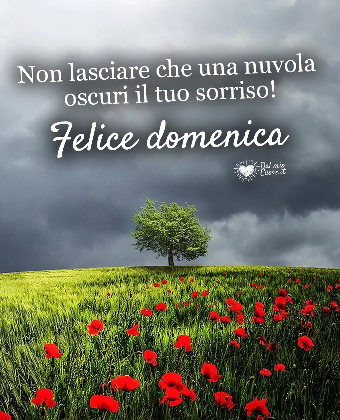 Non lasciare che una nuvola oscuri il tuo sorriso! Felice Domenica Non lasciare che una nuvola oscuri il tuo sorriso! Felice Domenica