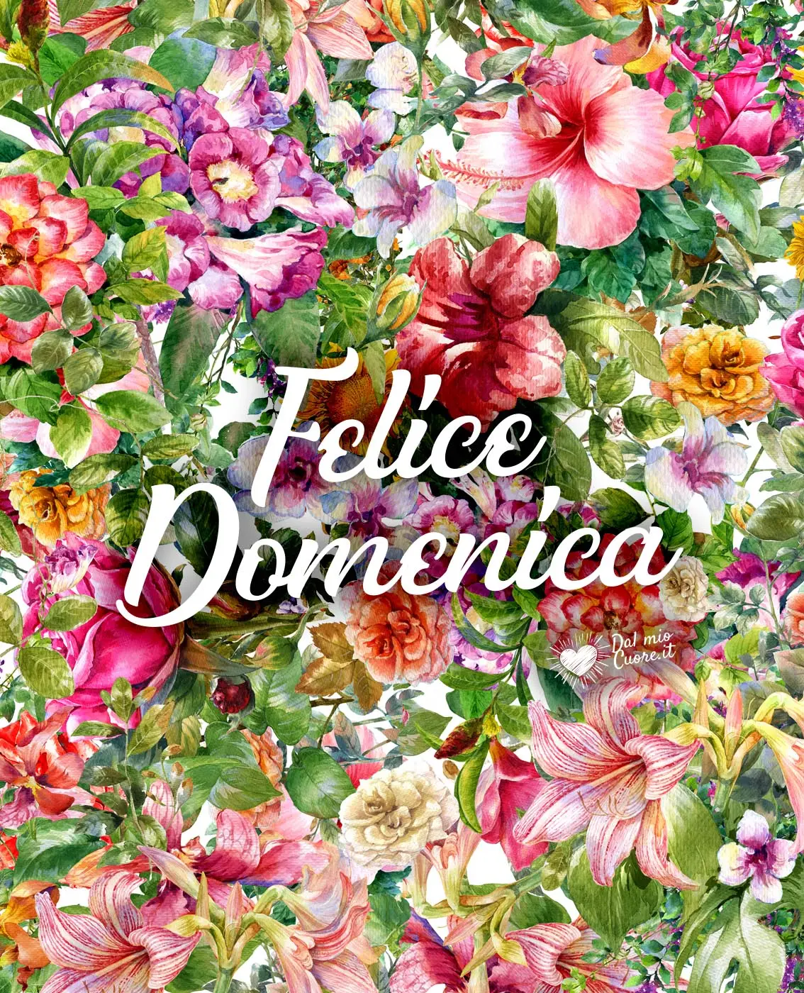 Felice Domenica con fiori Colorati Felice Domenica con fiori Colorati