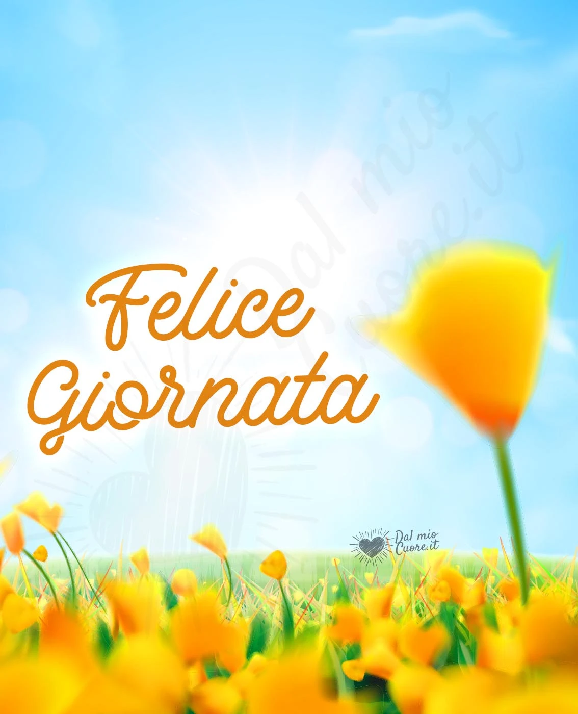 Felice Giornata con campo di fiori gialli Felice Giornata con campo di fiori gialli