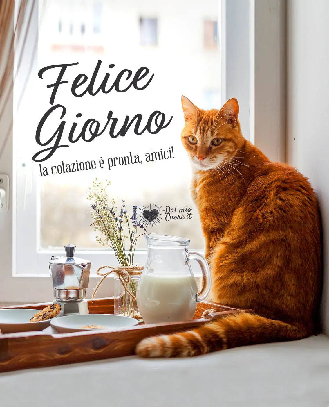 La colazione è pronta, amici! Felice Giorno La colazione è pronta, amici! Felice Giorno