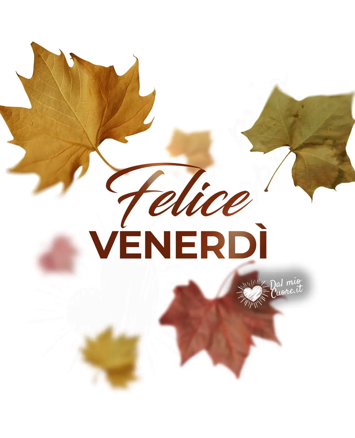 Felice Venerdì autunnale Felice Venerdì autunnale