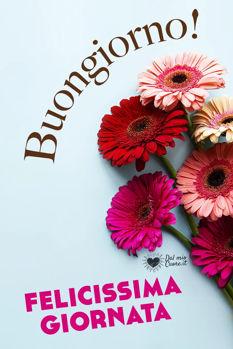 Buongiorno! Felicissima giornata Buongiorno! Felicissima giornata